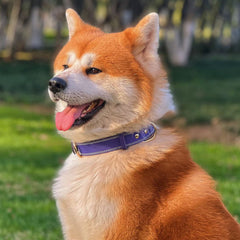 DAIHAQIKO collar de cuero genuino, detalle de pespunte duradero