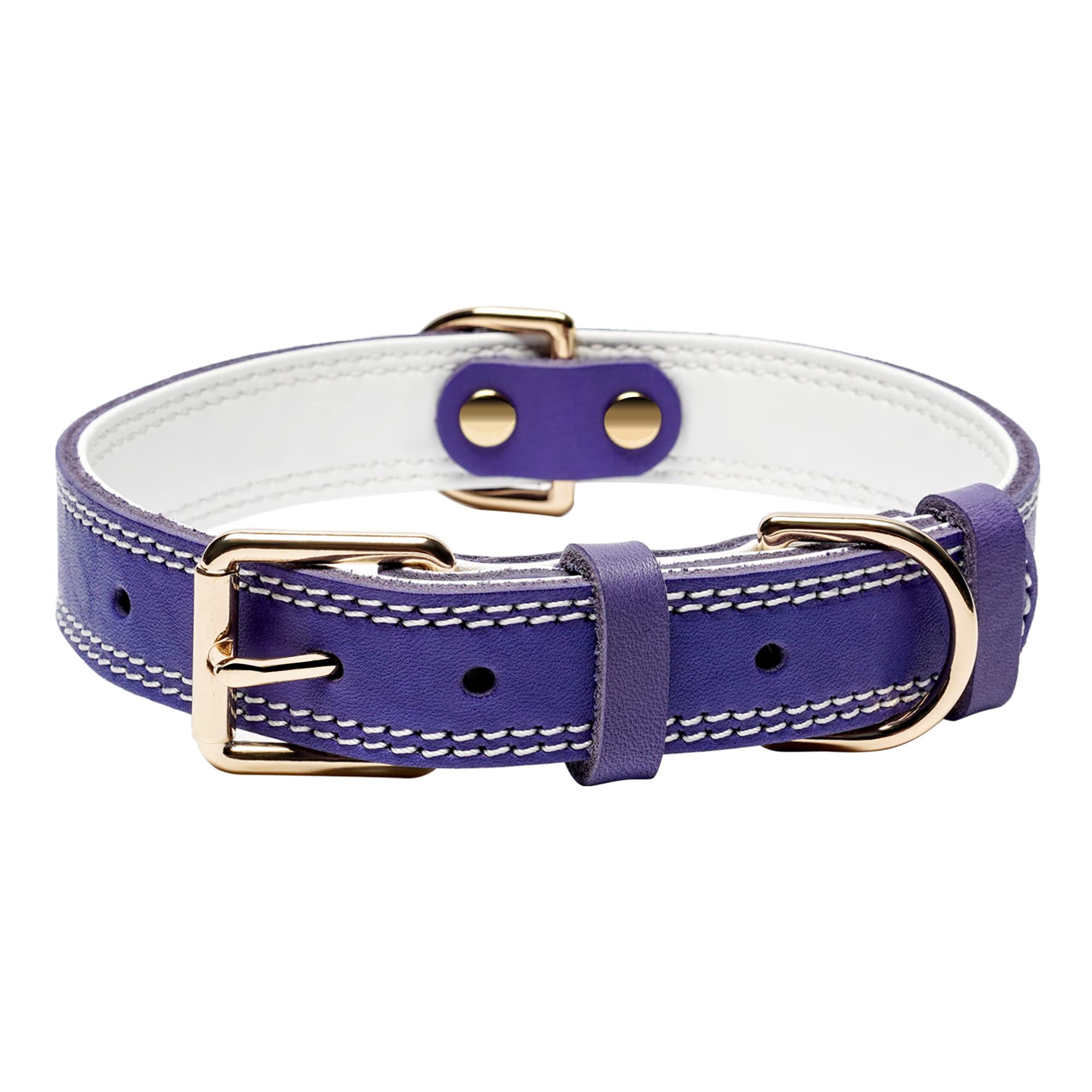 DAIHAQIKO collar de cuero genuino con hebilla metálica para paseos diarios