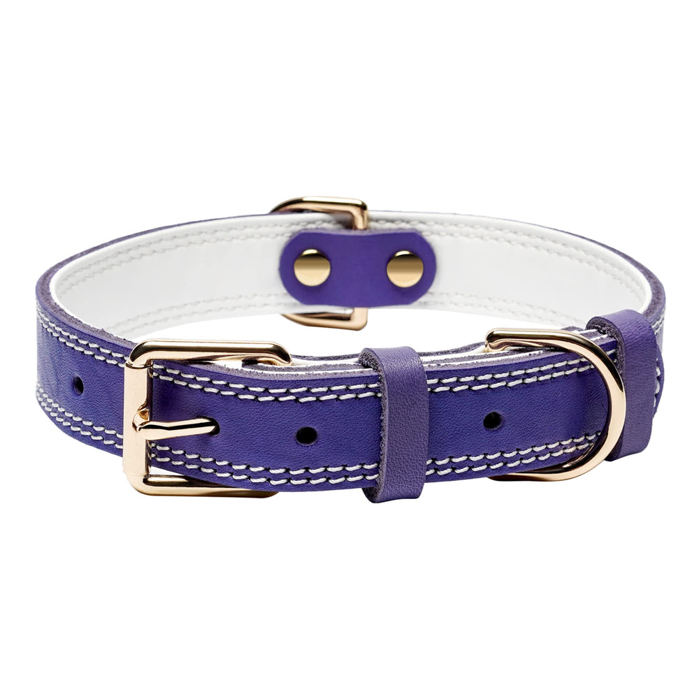 DAIHAQIKO collar de cuero genuino con hebilla metálica para paseos diarios