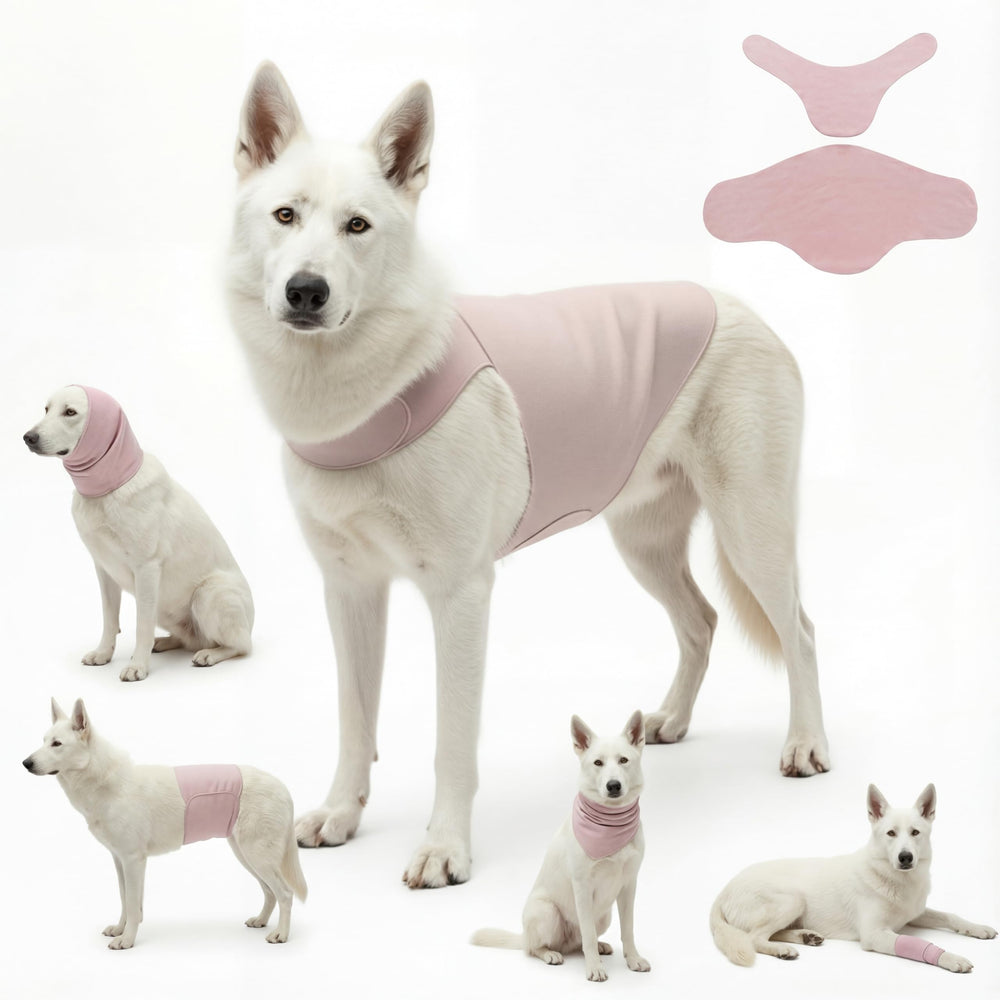 DAJIDALI Chaleco de ansiedad para perros y gatos, vista frontal, calma durante salidas.