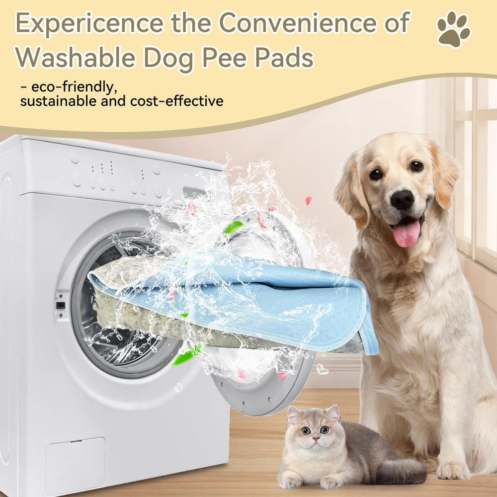 DAMIROON uso versátil para interior, exterior o viajes, ideal para cachorros y mayores.