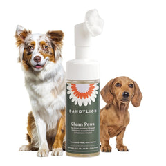 Dandylion Clean Paws: botella con espuma para limpieza rápida de patas sin enjuague.