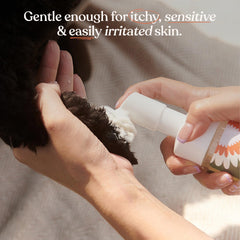 Dandylion Clean Paws: espuma cremosa facilita una limpieza suave de las patas.