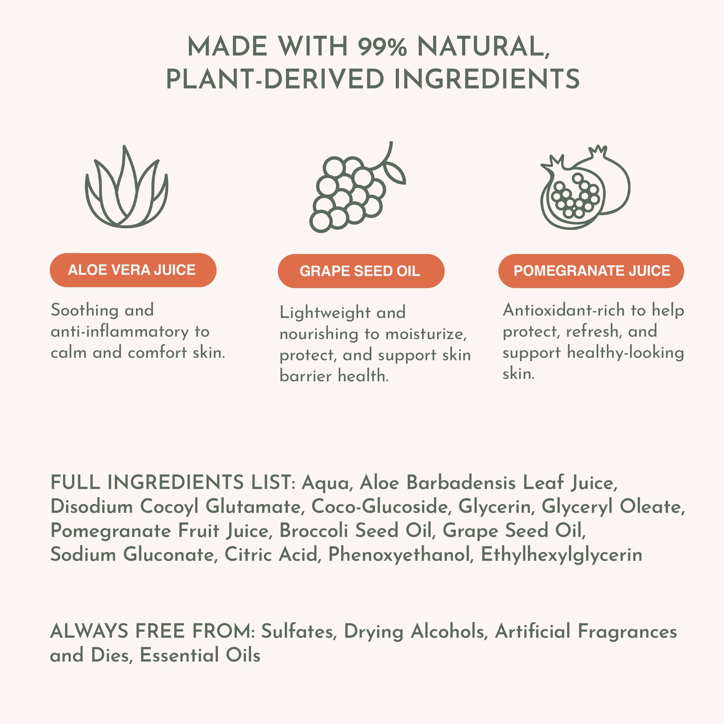 Dandylion Clean Paws: ingredientes vegetales cuidan la piel del perro.