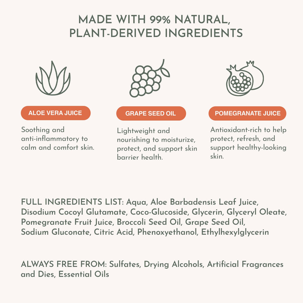 Dandylion Clean Paws: ingredientes vegetales cuidan la piel del perro.