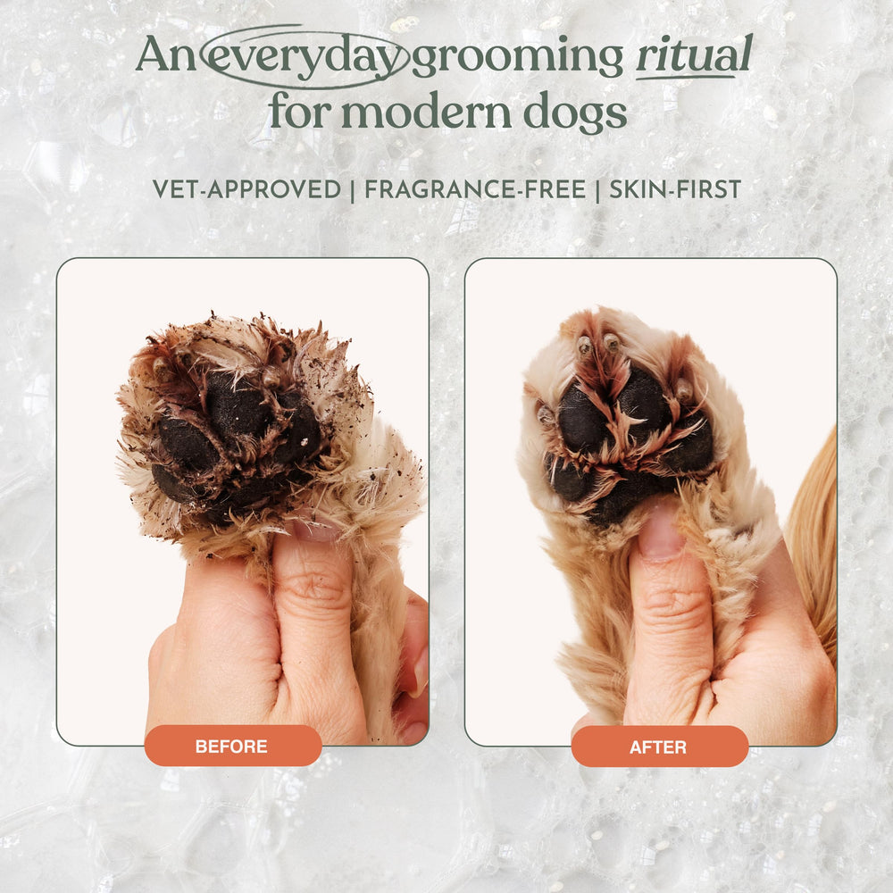 Dandylion Clean Paws: patas secas y listas tras el uso tras el paseo.