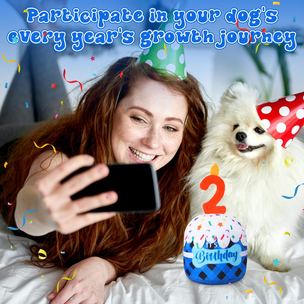 Dansydaisy accesorio fiesta-perro cumpeanos azul, decora y entretiene.