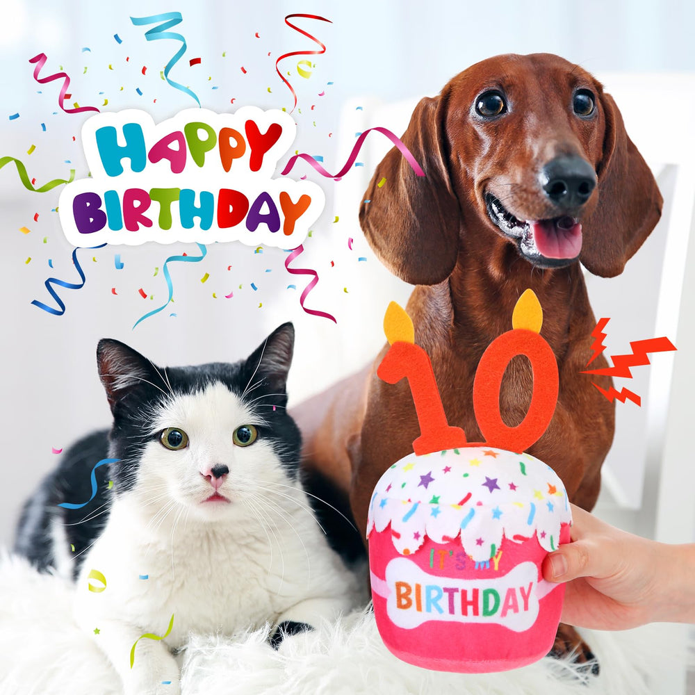 Dansydaisy diseño 3D en la torta para perro, decoración divertida.