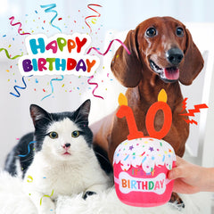 Dansydaisy diseño 3D en la torta para perro, decoración divertida.