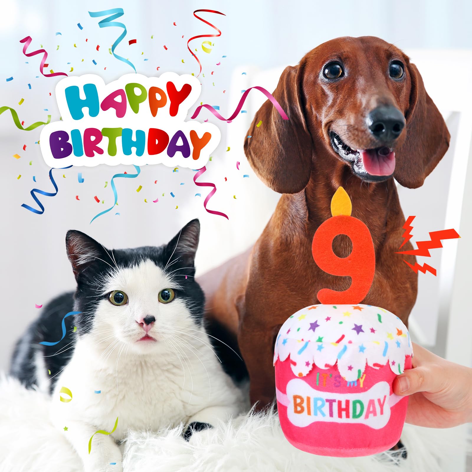 Dansydaisy decoración de fiesta para perros con juego interactivo.