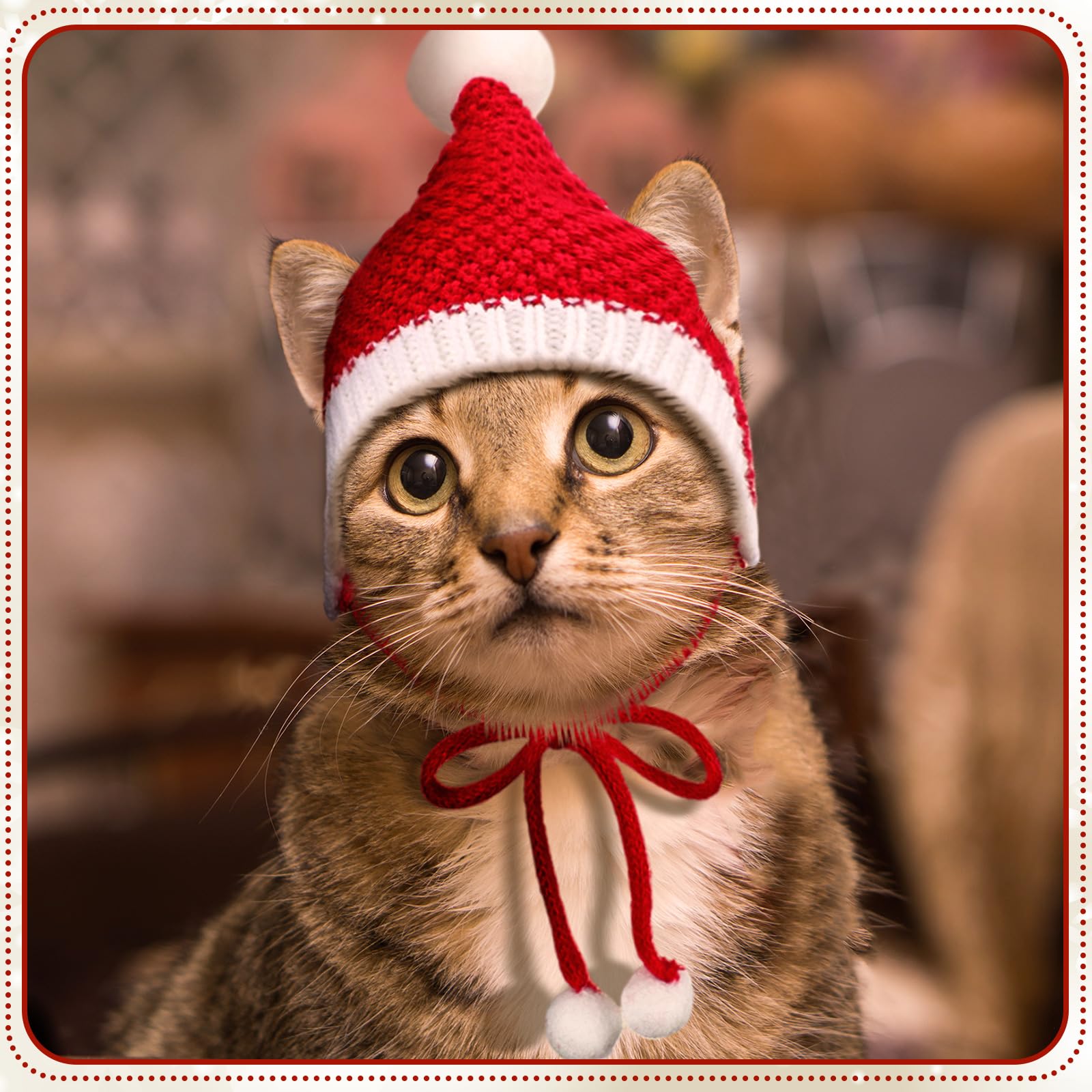 Gorro navidad rojo-verde para perro Dansydaisy, ideal para sesiones de fotos.