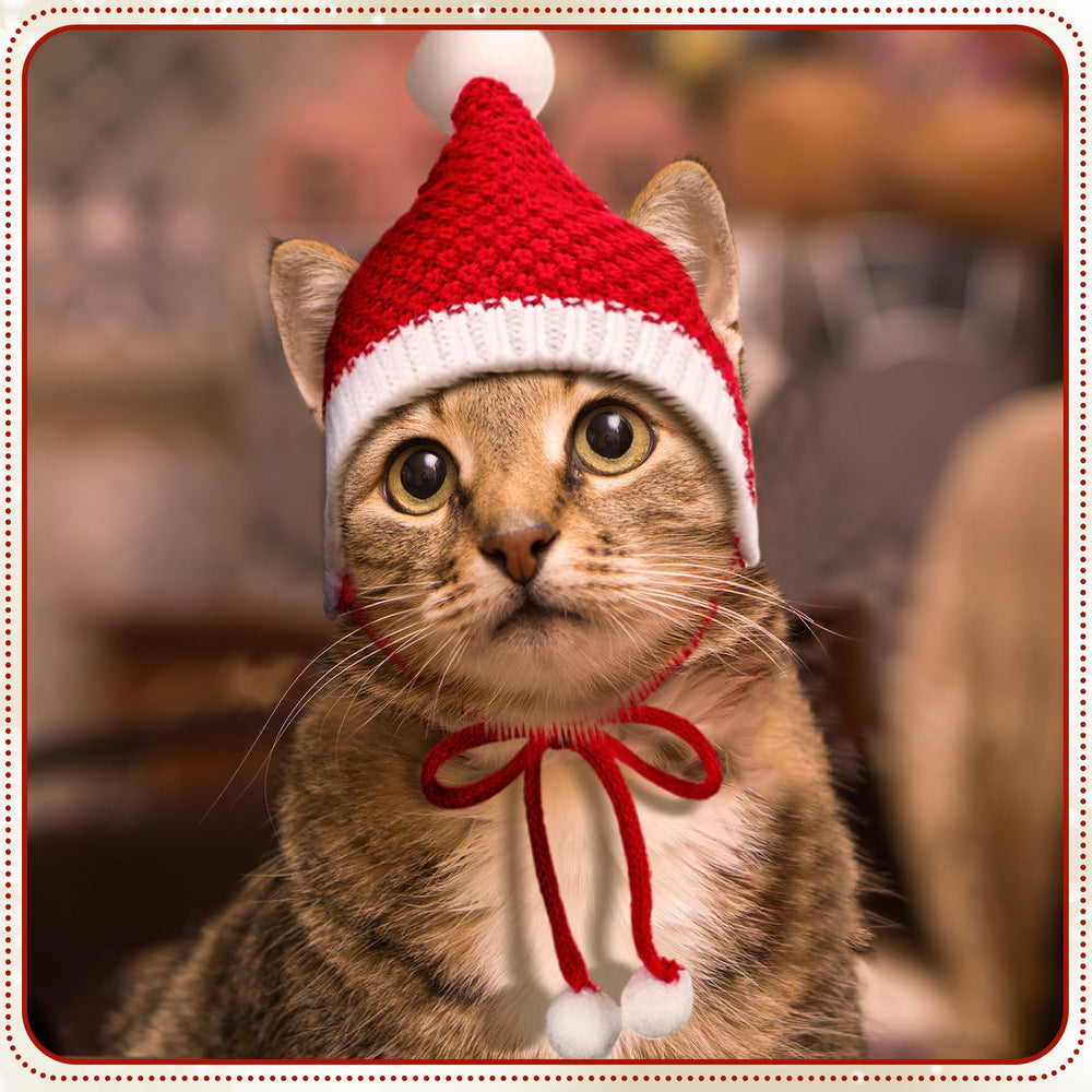 Gorro navidad rojo-verde para perro Dansydaisy, ideal para sesiones de fotos.