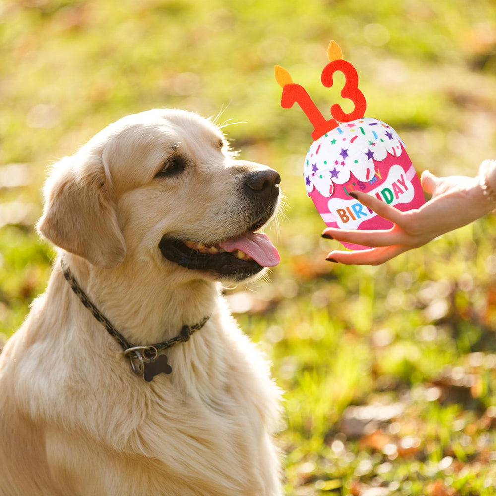 Dansydaisy juguete blando con chirrido para perro, ideal para dentición y juego.