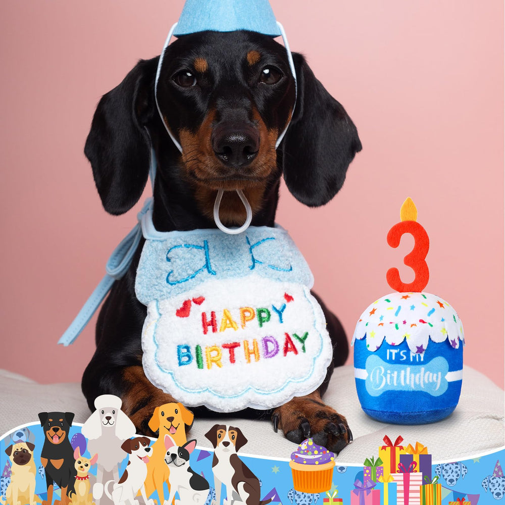 Dansydaisy juguete-cumpleanos-perro-azul-escena fiesta, perfecta para fotos.