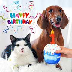 Dansydaisy juguete peluche de cumpleaños para perros, suave y duradero para morder.