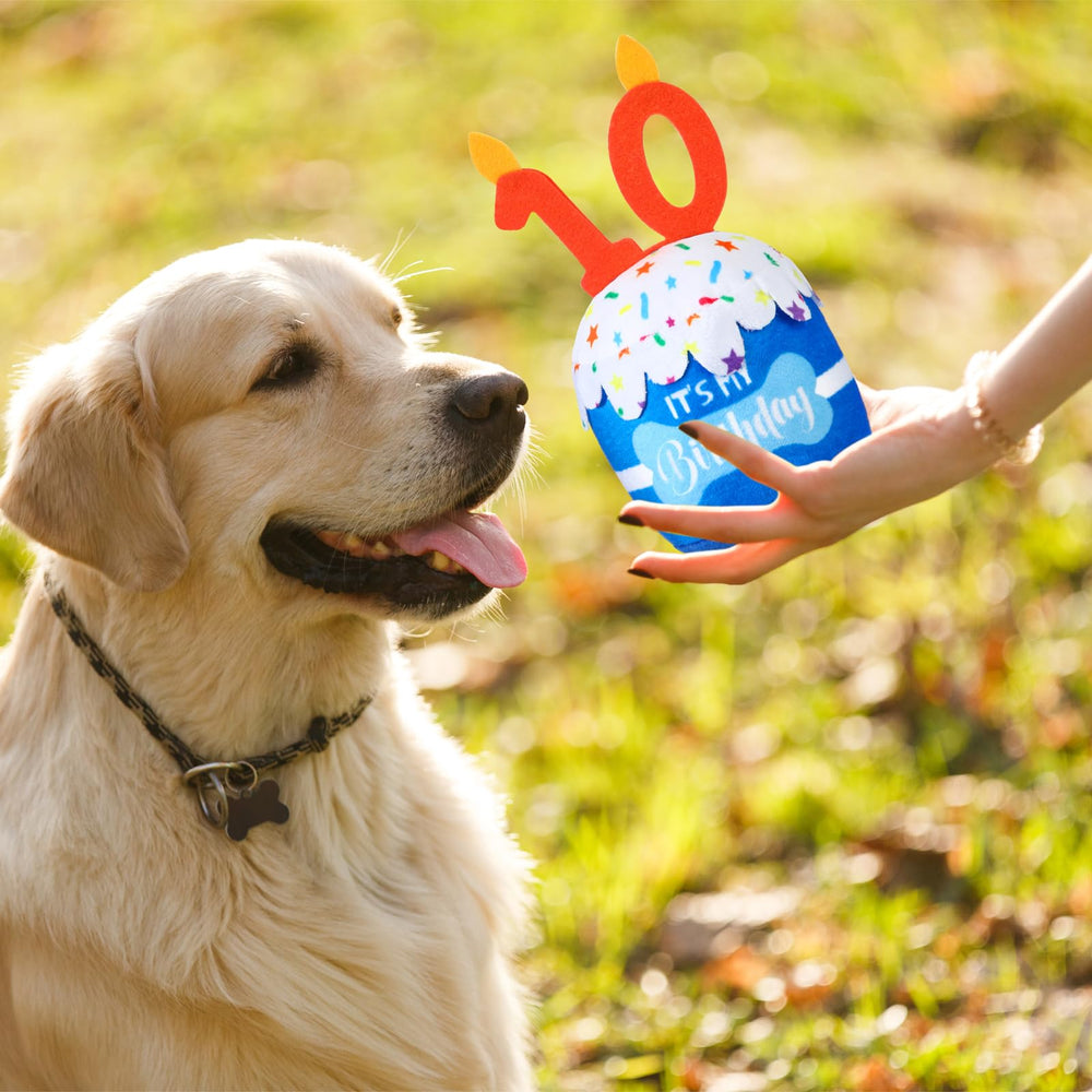 Dansydaisy lavado-maquina-juguete-perro, fácil de limpiar tras fiestas.