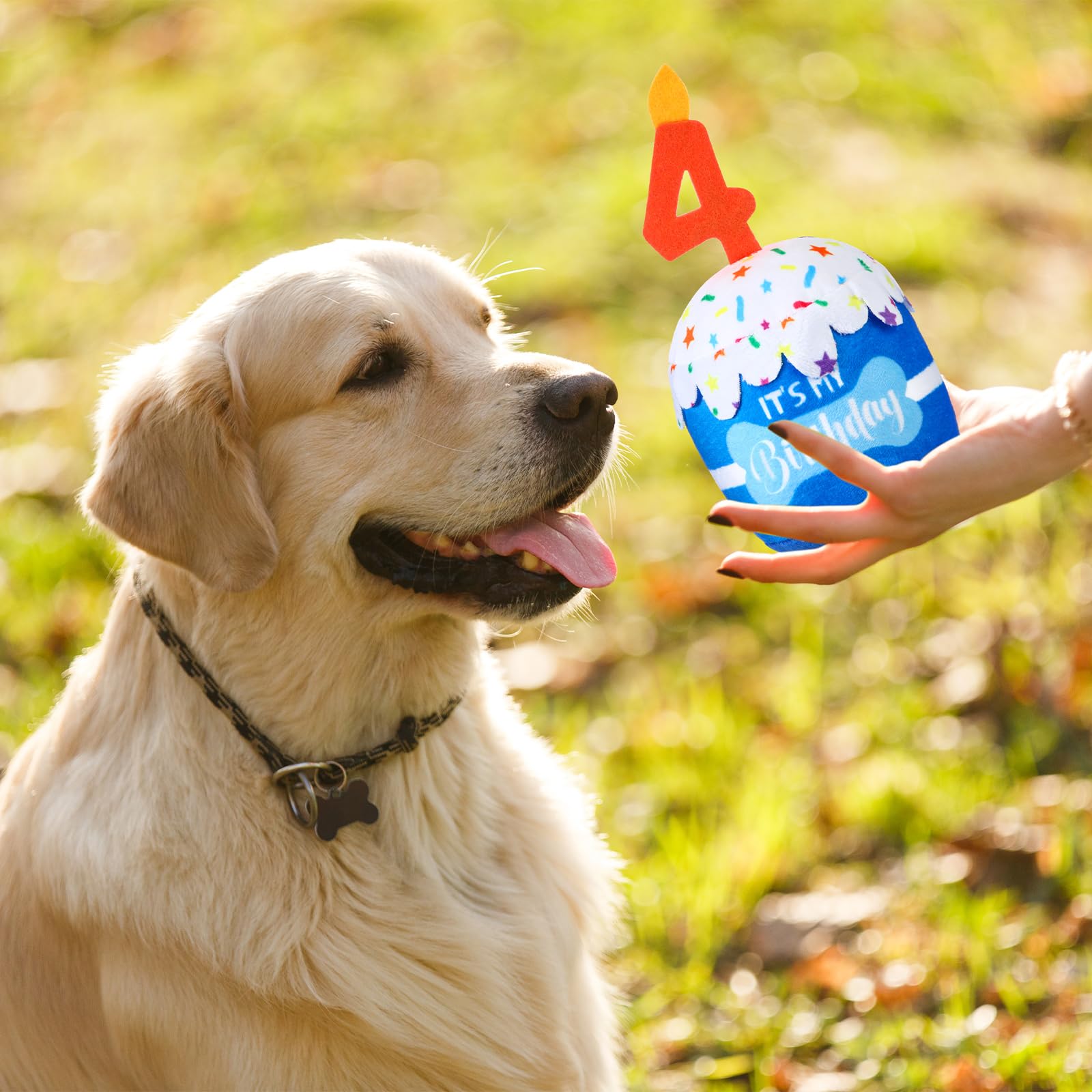Dansydaisy peluche-limpieza-bucal-perro-azul, juego suave para exploración dental