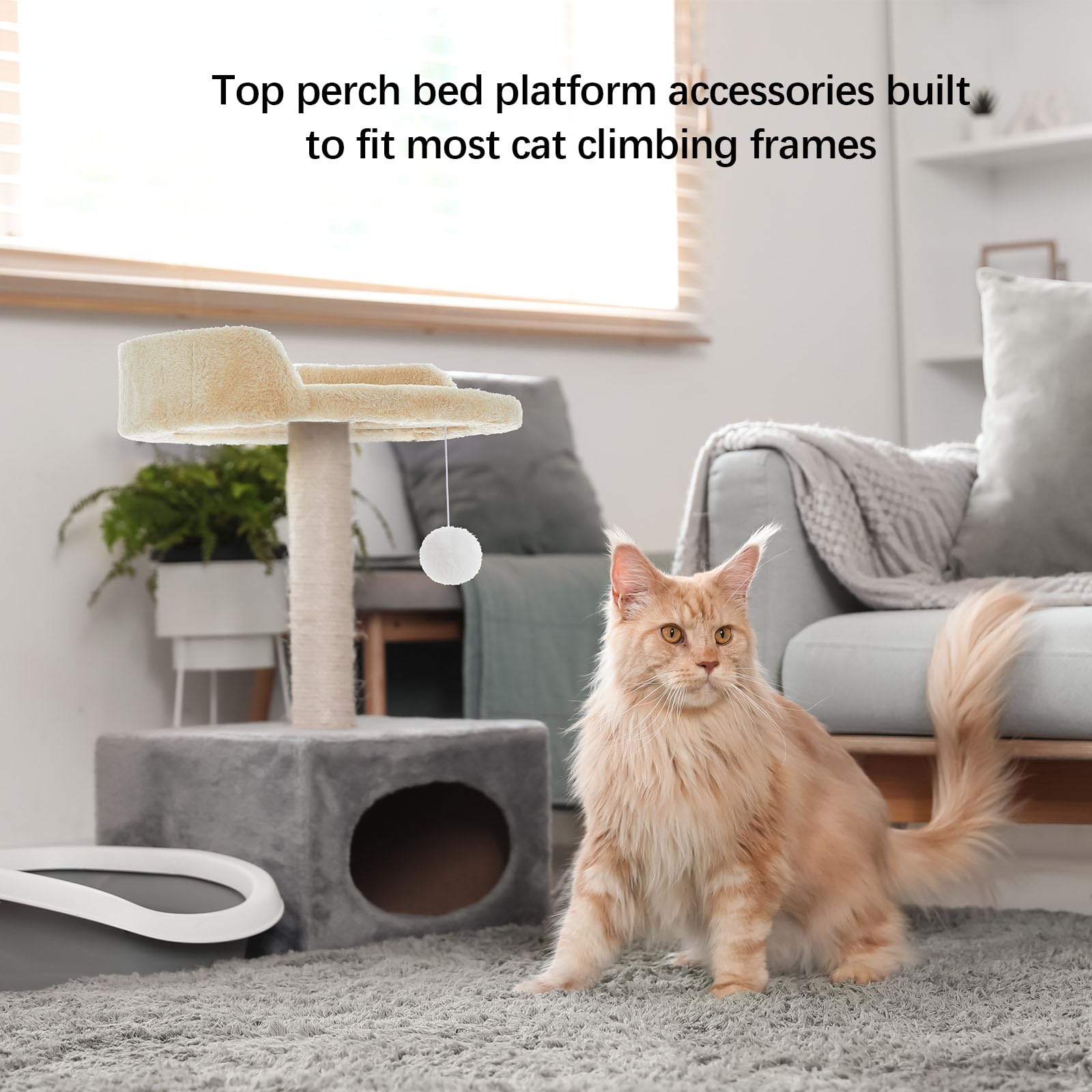 Dansydaisy plataformas y perchas ampliadas para varios gatos.