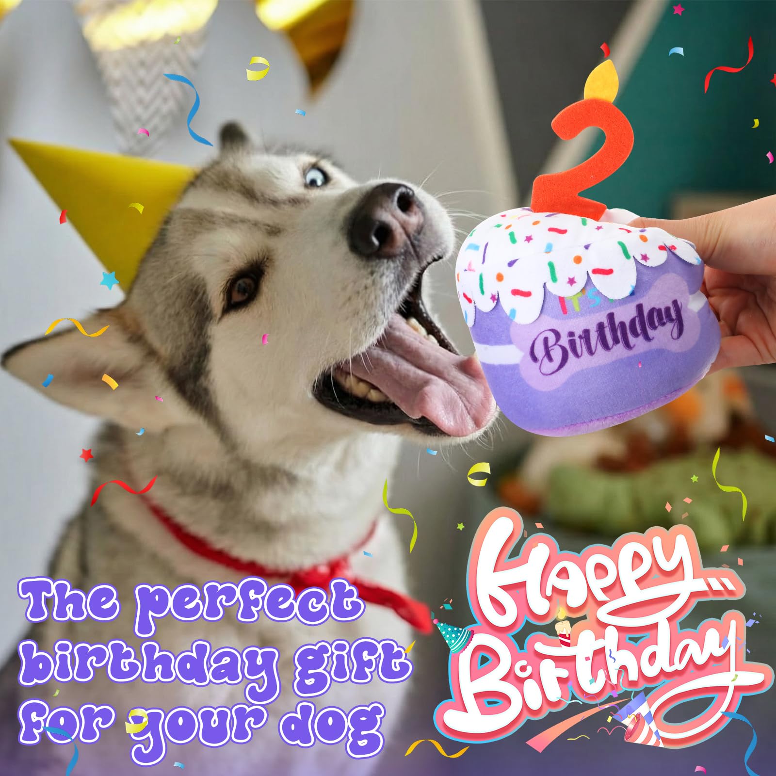 Dansydaisy regalo de cumpleaños para mascotas, añade ánimo festivo a la celebración.