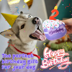 Dansydaisy regalo de cumpleaños para mascotas, añade ánimo festivo a la celebración.