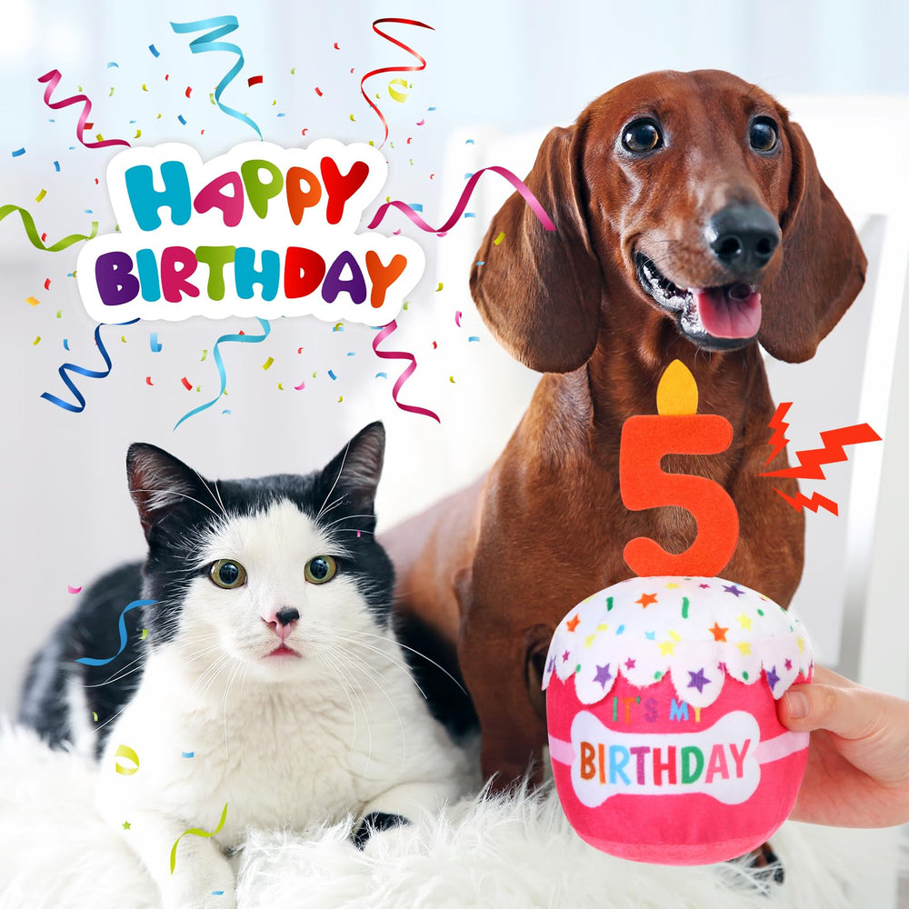 Dansydaisy talla-20x9cm-perro: tamaño adecuado para perros de todos los tamaños.