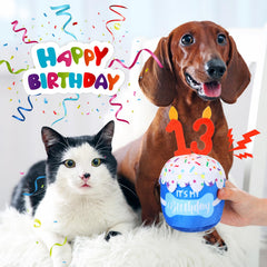 Dansydaisy tamaño apto para perros de todos los tamaños, diversión segura.