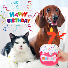 Dansydaisy torta-cumpleanos-perro-detalle-3d: superficie suave y relleno elástico.