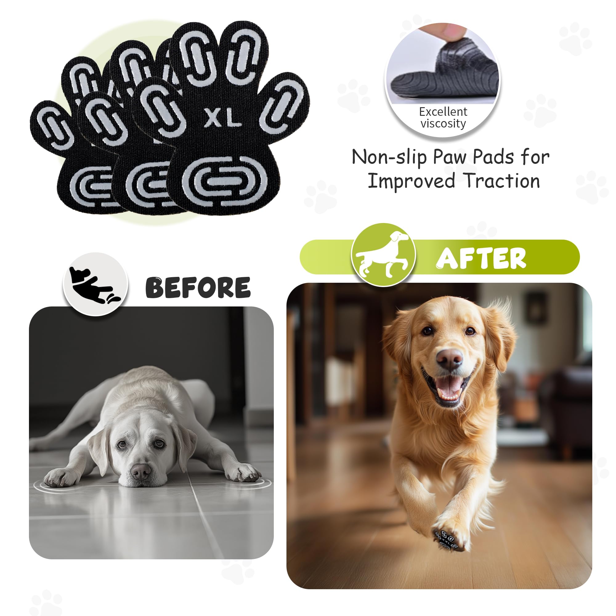 Patitas de perro senior con Dapaw: movilidad más estable
