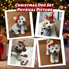 DARDOHIA Juguete cuerda navidad para perro, fomenta ejercicio y masticación segura.