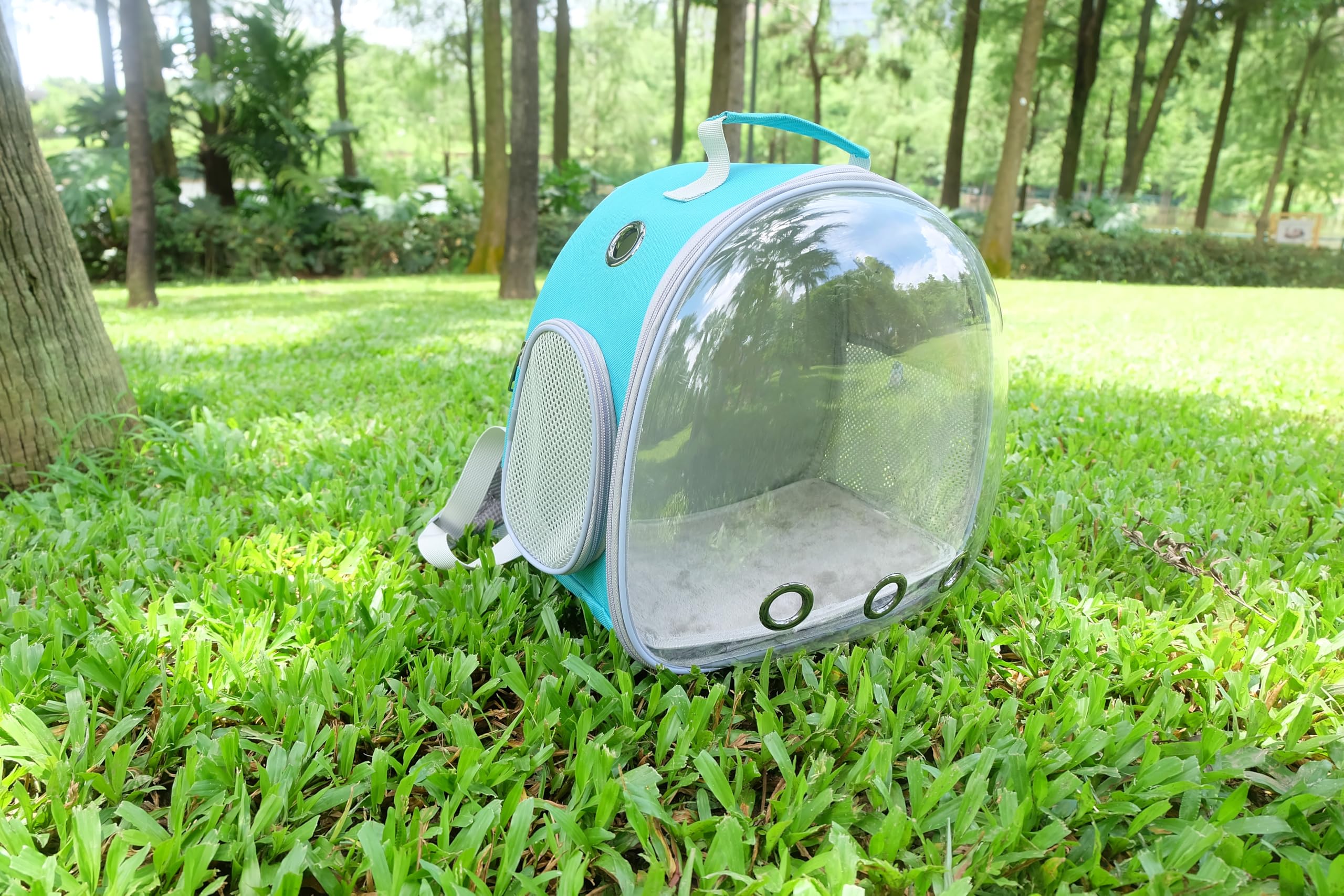 Dasunzye mochila ligera y fácil de guardar para actividades al aire libre