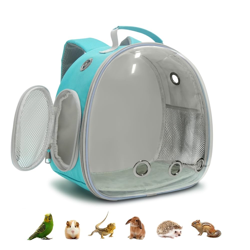 Dasunzye mochila cápsula espacial verde con ventana para observar a tu mascota durante el paseo