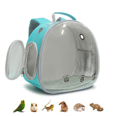Dasunzye mochila cápsula espacial verde con ventana para observar a tu mascota durante el paseo
