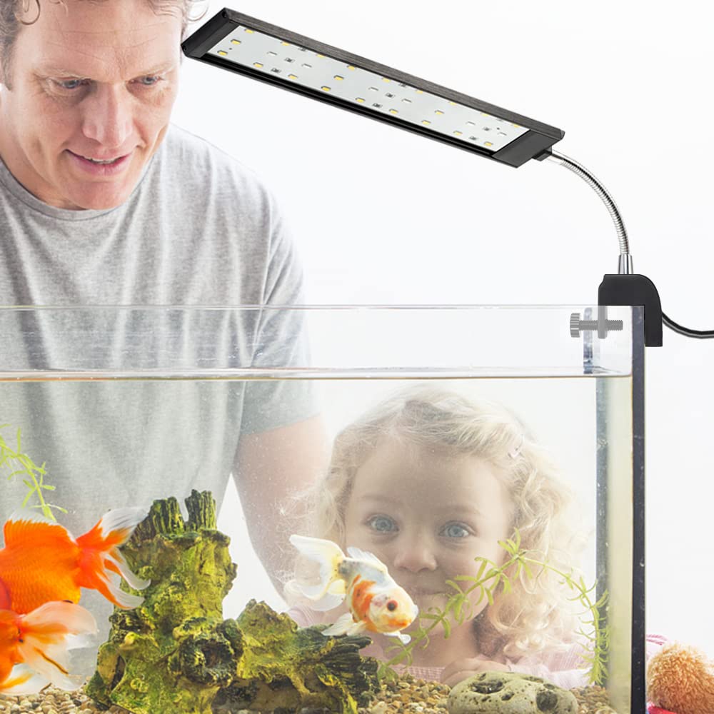DaToo luz acuario clip 10W con garantía de 1 año brinda tranquilidad.