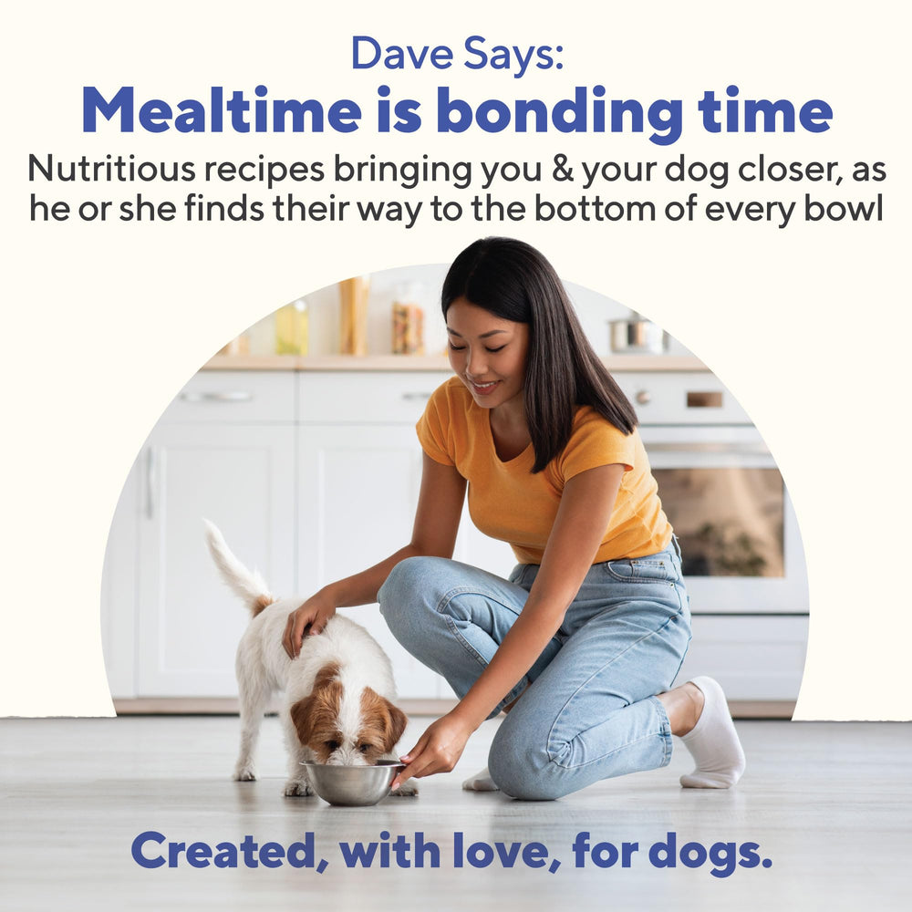 Sin trigo y gluten con Dave's Pet Food, opción segura para perros.