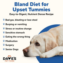Dave's Pet Food dieta blanda pollo-arroz, ingredientes simples para estómago sensible