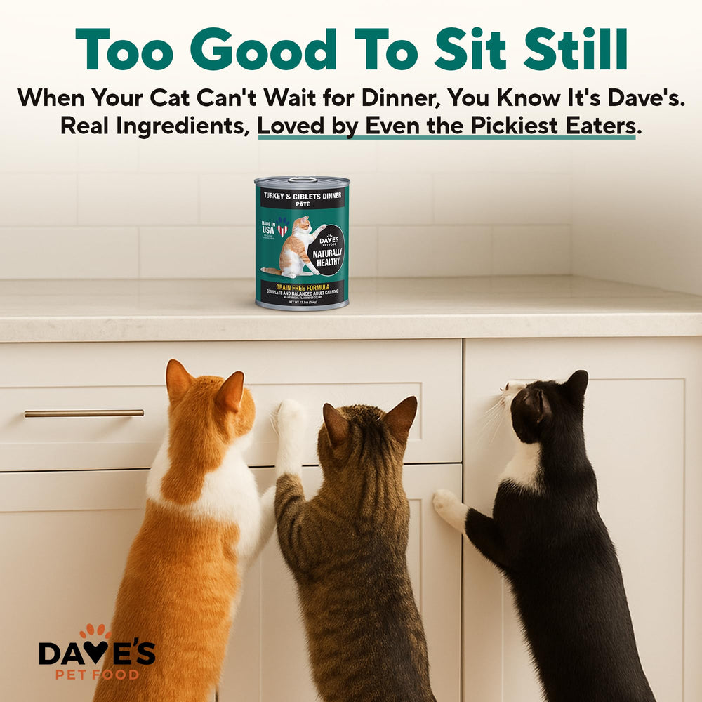Dave's Pet Food Gato Pavo y Menudillos Pate: hecho en EE.UU. con ingredientes selectos.