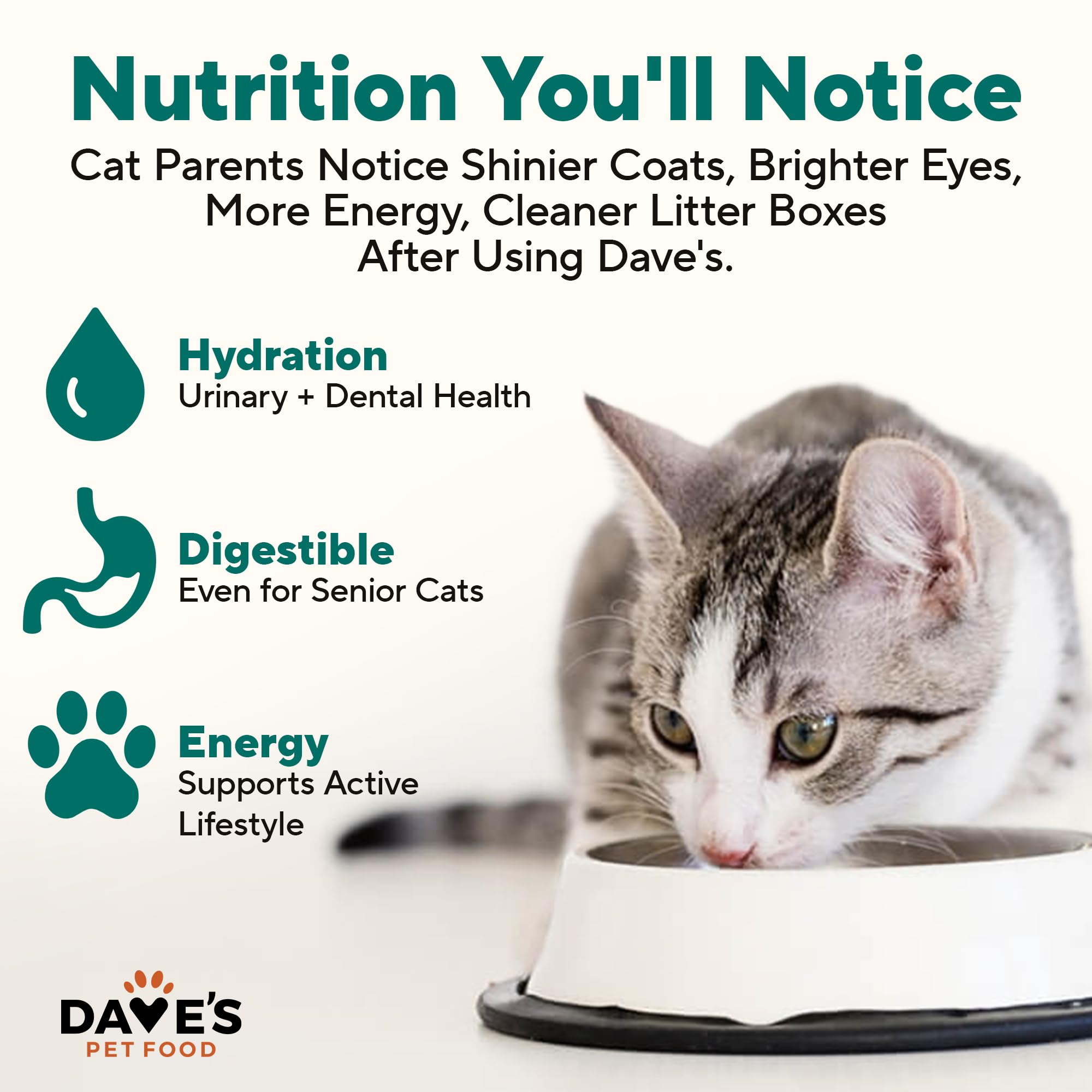 Dave's Pet Food Gato Pavo y Menudillos Pate: servido en tazón a temperatura ambiente.