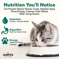 Dave's Pet Food Gato Pavo y Menudillos Pate: servido en tazón a temperatura ambiente.