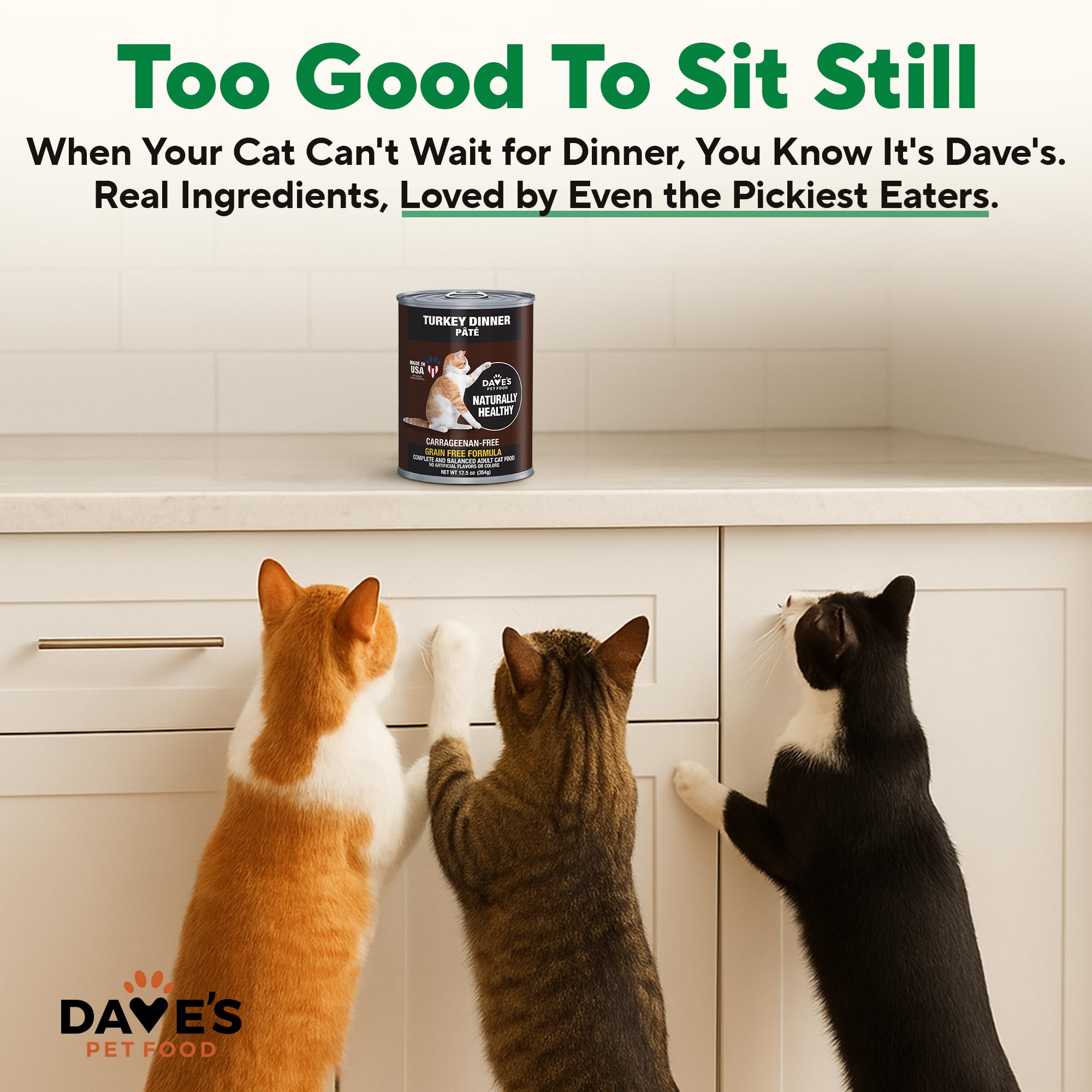 Dave's Pet Food lata con pavo, sin granos para dietas sensibles