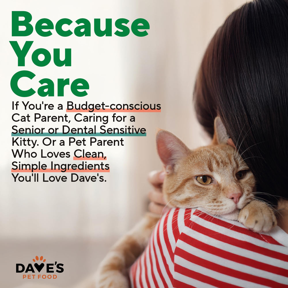 Dave's Pet Food frente de lata, opción de proteína de pavo de calidad
