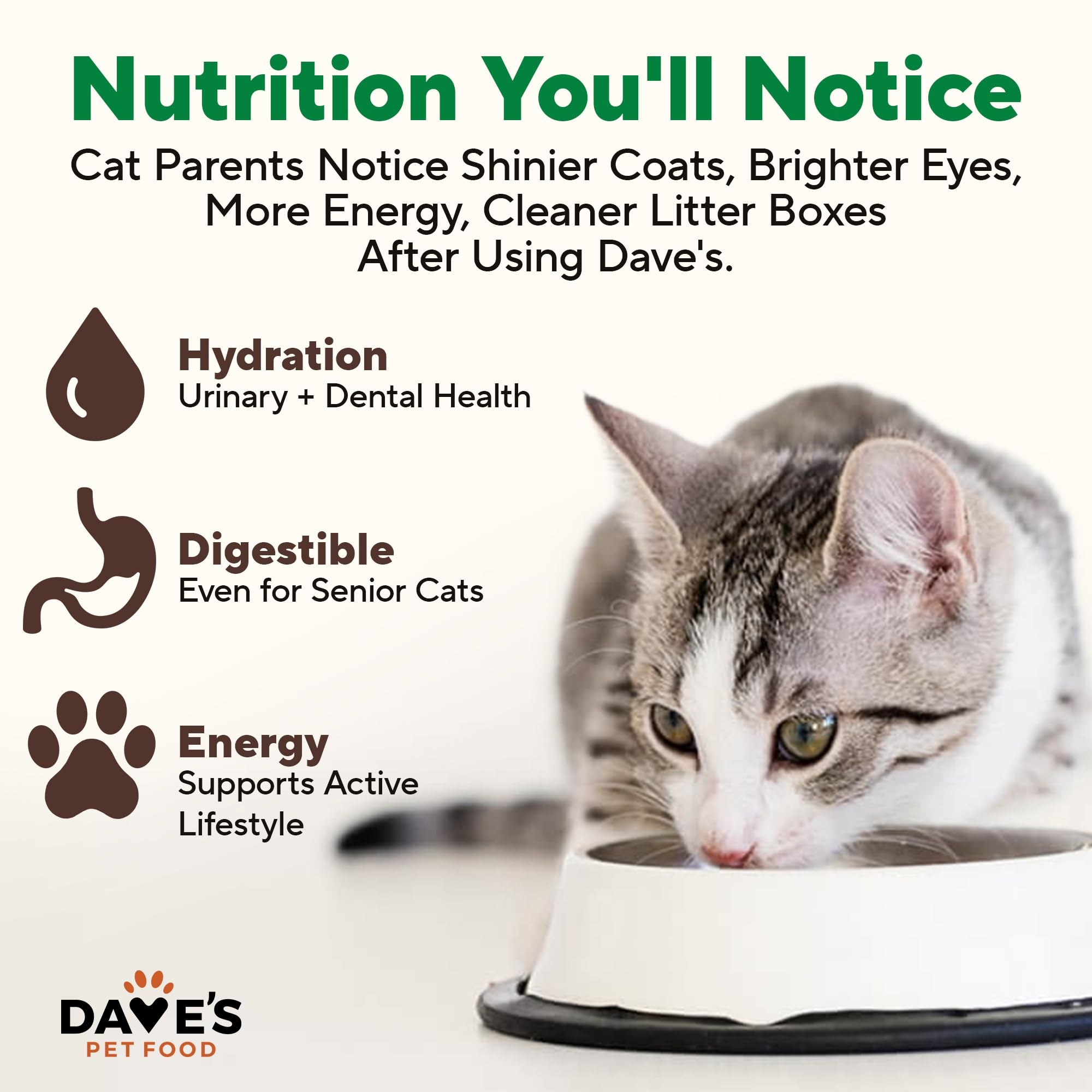 Dave's Pet Food porción servida en plato, sabor real para gatos exigentes