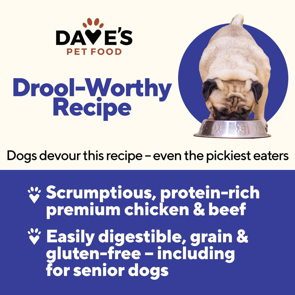 Dave's Pet Food, nutrición con vitaminas añadidas para perros activos