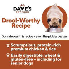 Dave's Pet Food, pack de 12 latas, opción conveniente para familias.