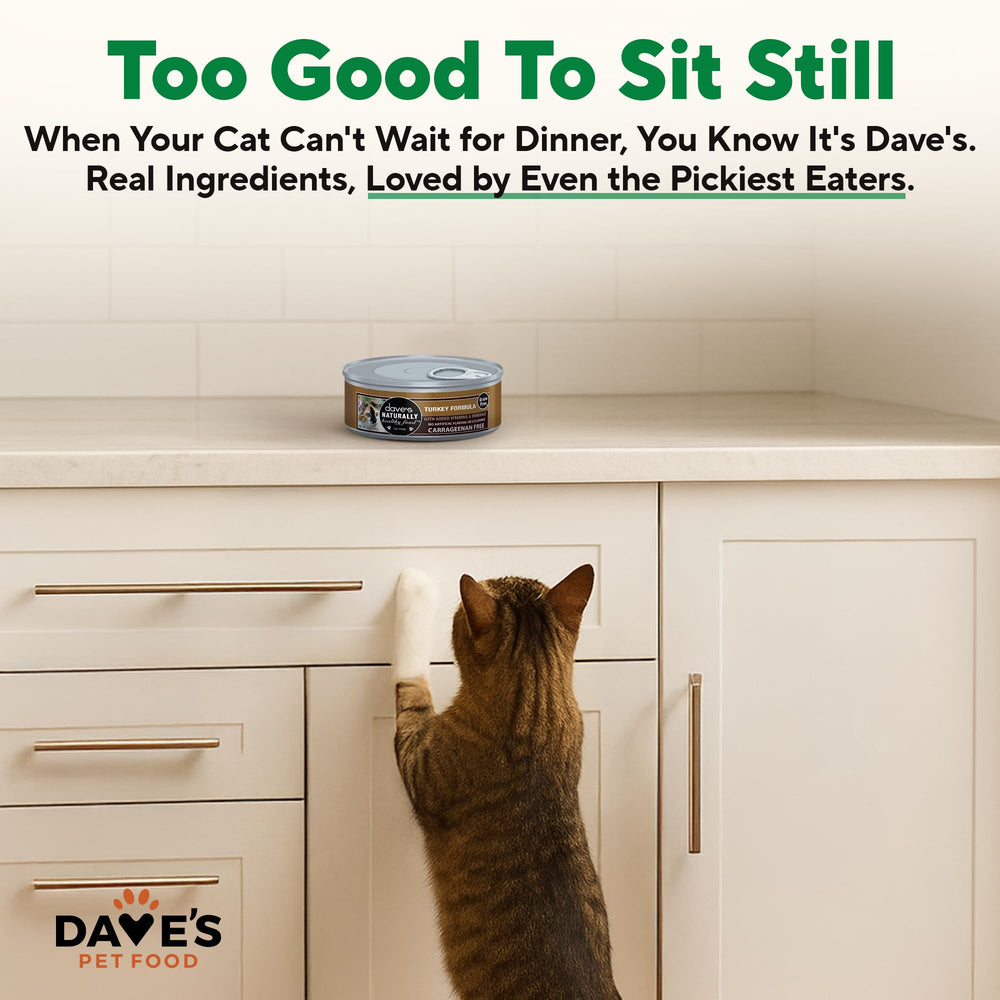 Dave's pate sin granos, opción premium para gatos