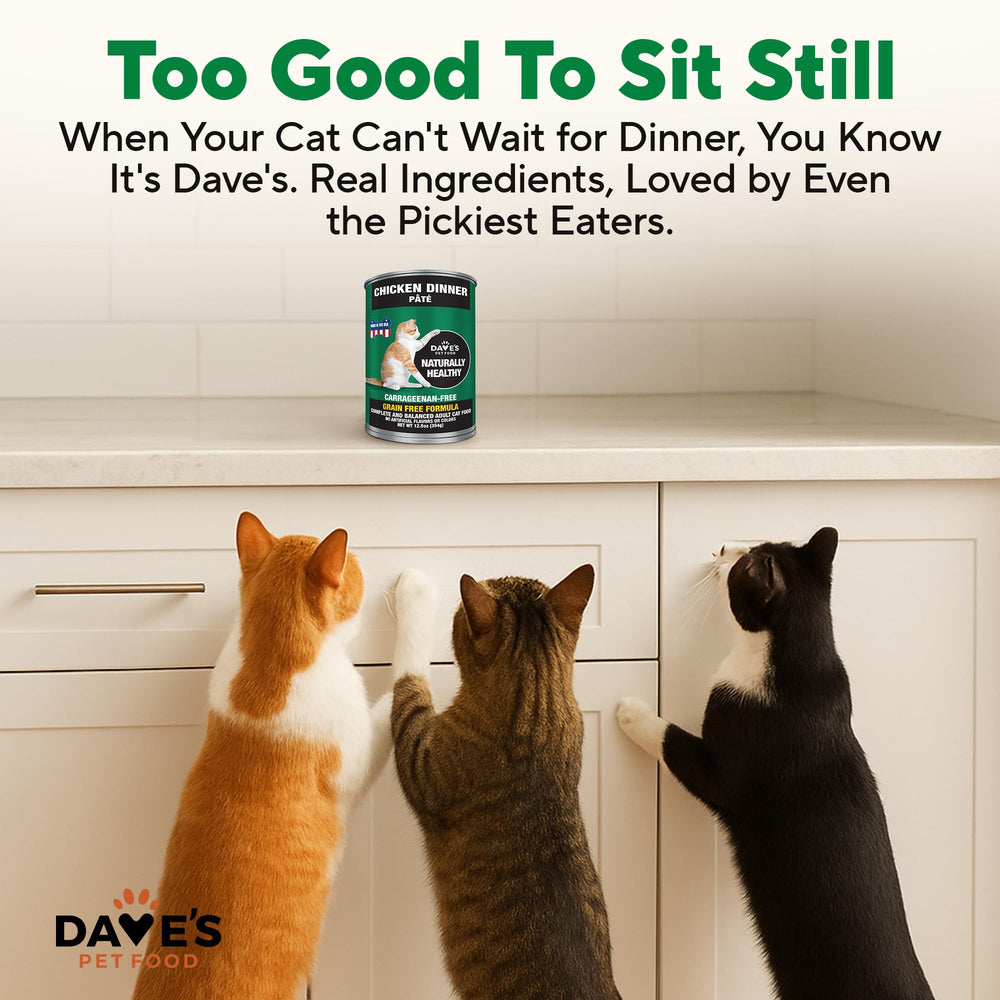 Comida sin granos de Dave's Pet Food para gatos, opción natural
