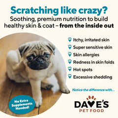 Dave's Pet Food, fórmula sin trigo, maíz ni soja en lata de 375 g.