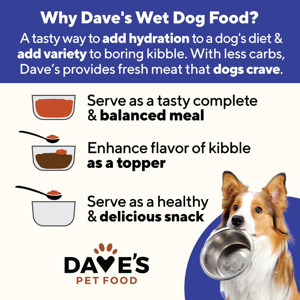 Dave's Pet Food, sin trigo ni gluten para estómagos sensibles