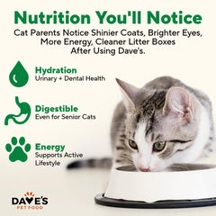 Tazón con paté de pollo de Dave's Pet Food, listo para servir al gato