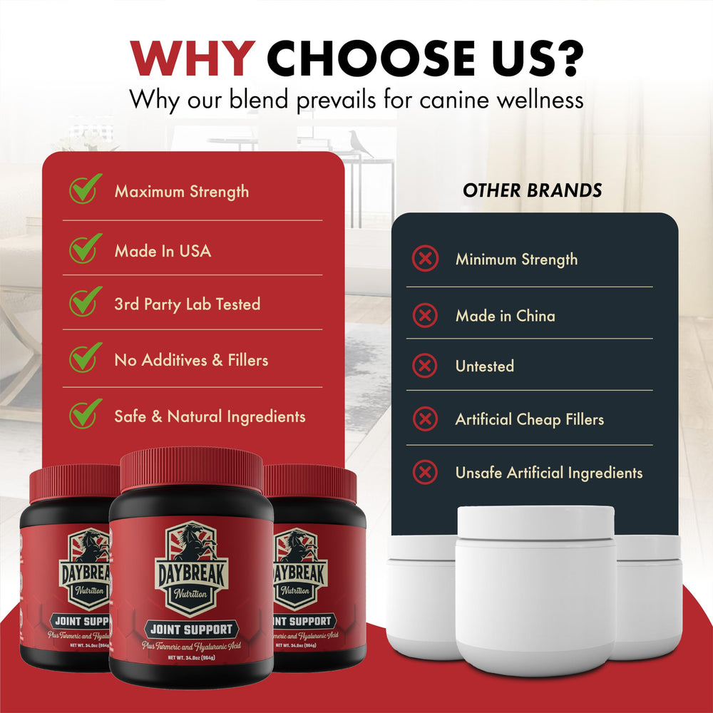 Daybreak Nutrition cuchara de polvo para articulaciones, dosis diaria.