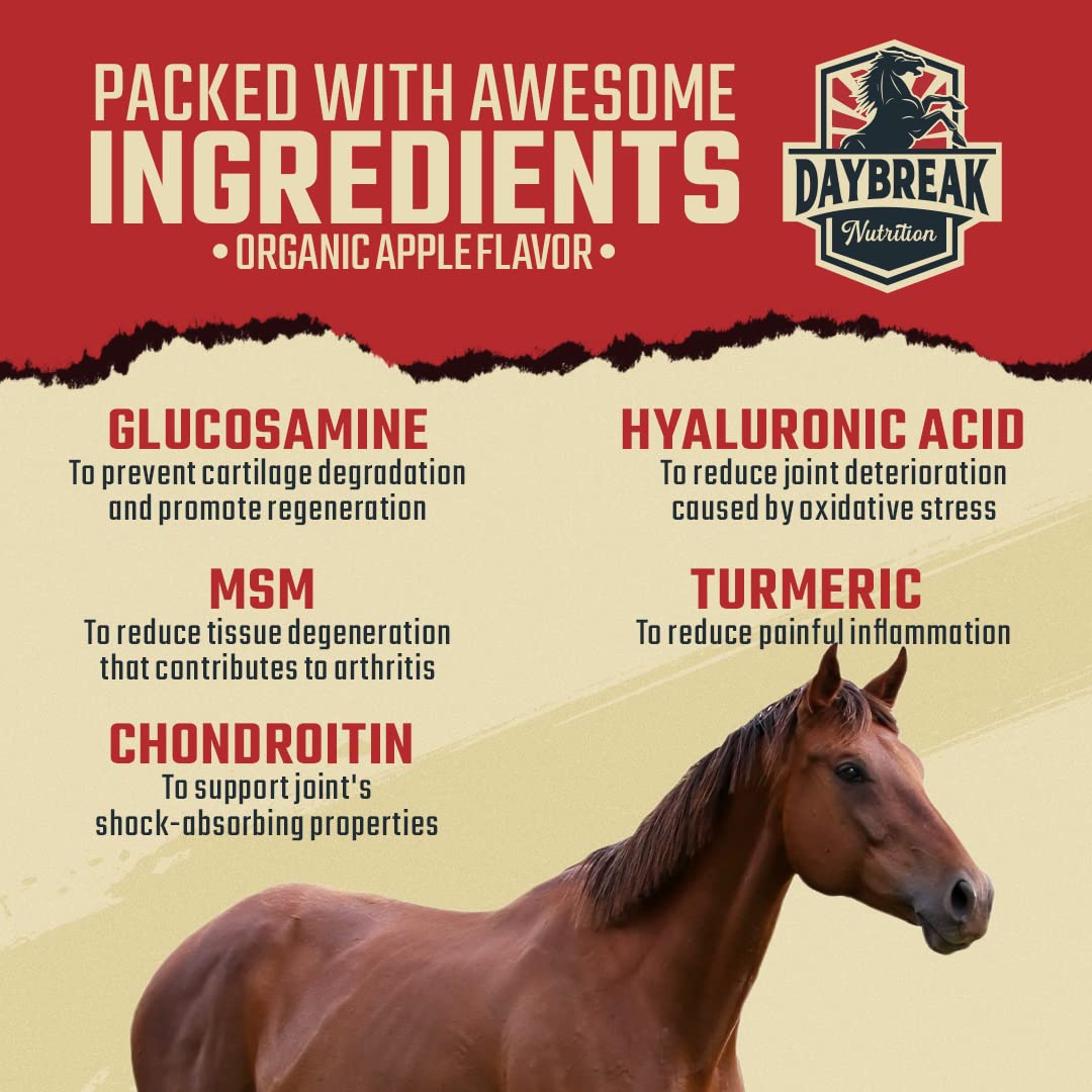 Daybreak Nutrition ingredientes clave glucosamina y MSM para articulaciones.